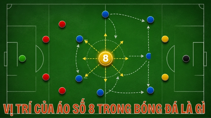 Vị Trí Của Áo Số 8 Trong Bóng Đá Là Gì